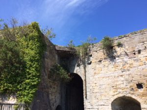 IMG_0155